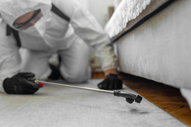 Professional Termite Control technician working in Canby, MN