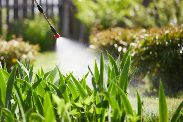24/7 Emergency Termite Control experts in Canby, MN
